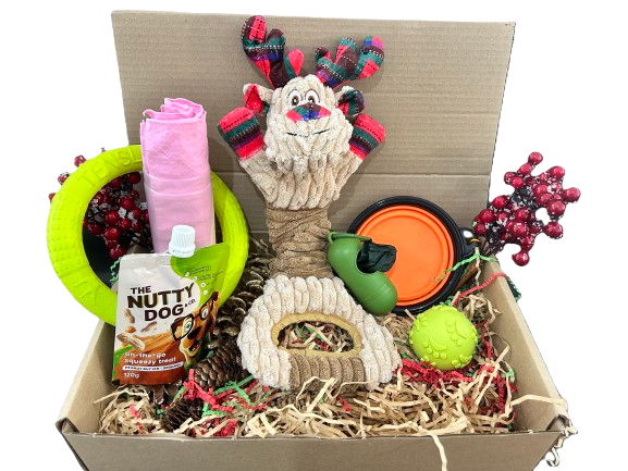 Travel Treat Hamper for Dogs 🐾 – On-the-Go Fun and Treats!