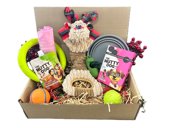 Beach Hamper for Dogs 🐾 – Fun in the Sun, All Packed Up!