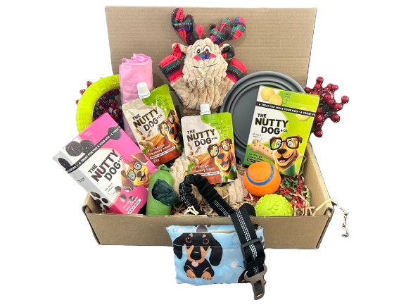 Park Play Hamper for Dogs 🐾 – Packed with Fun and Essentials for Outdoor Adventures!