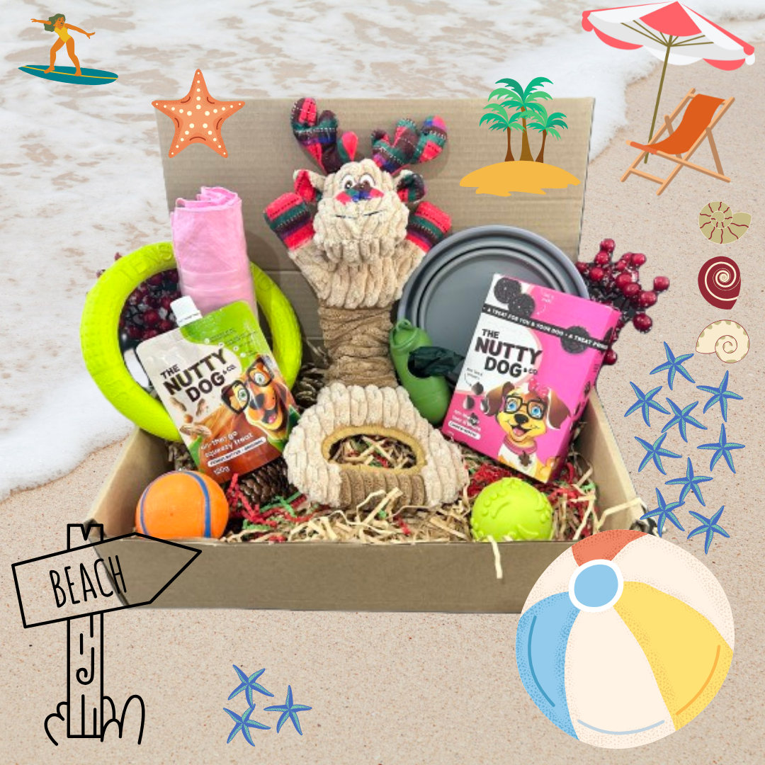 Beach Hamper for Dogs 🐾 – Fun in the Sun, All Packed Up!