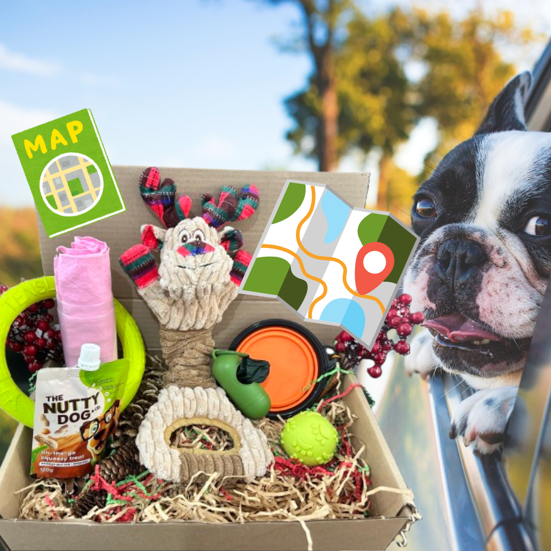 Travel Treat Hamper for Dogs 🐾 – On-the-Go Fun and Treats!